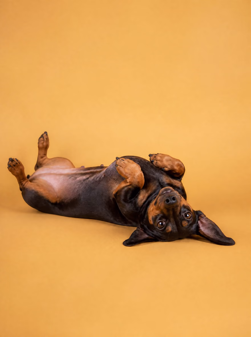Max